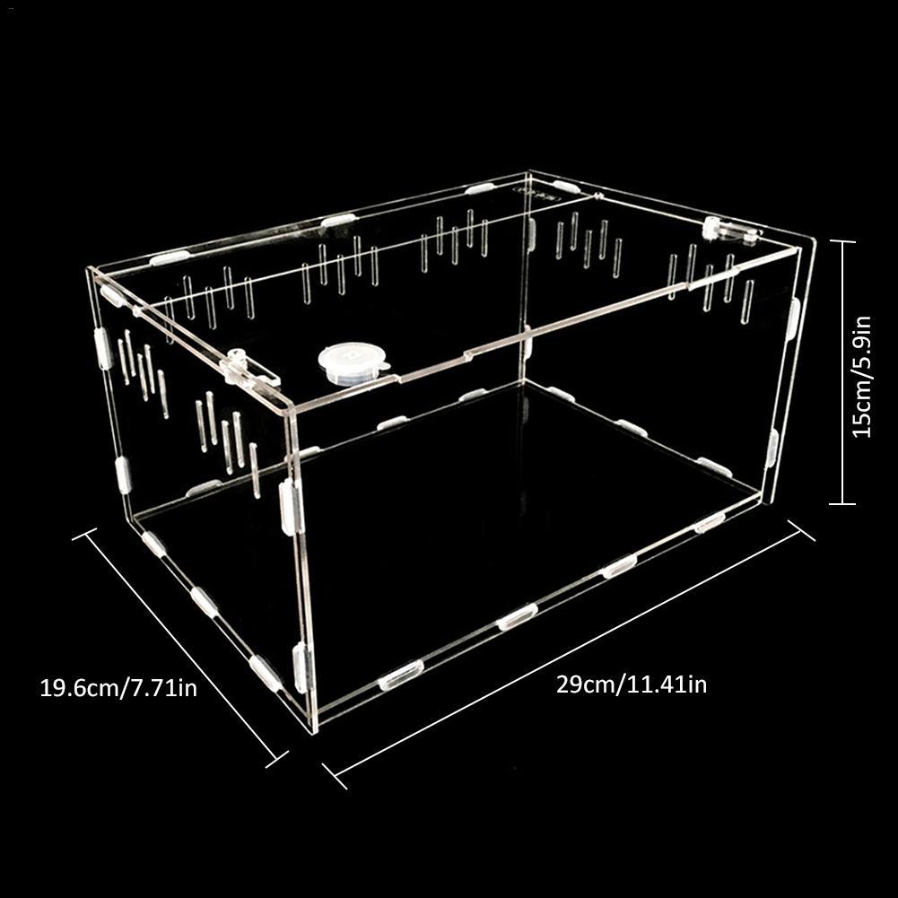 Acrylic Reptile and Insect Tank Reptile & Amphibian Habitats Best Toy Store