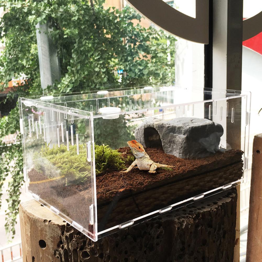 Acrylic Reptile and Insect Tank Reptile & Amphibian Habitats Best Toy Store
