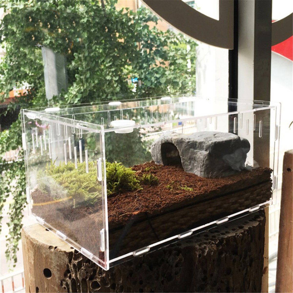 Acrylic Reptile and Insect Tank Reptile & Amphibian Habitats Best Toy Store Small 29cm X 19.6cm x 15cm
