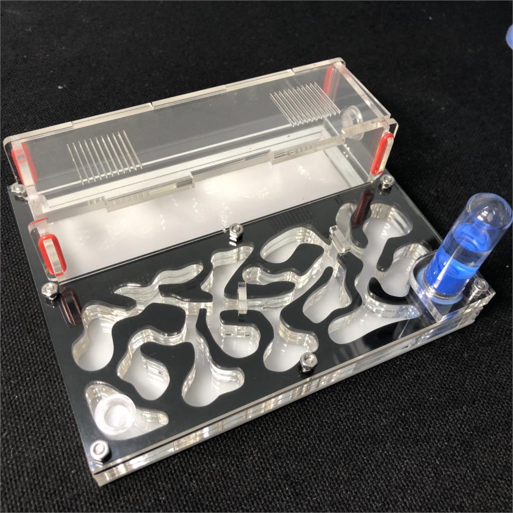 DIY Ant Farm Kit Ant Farms Best Toy Store