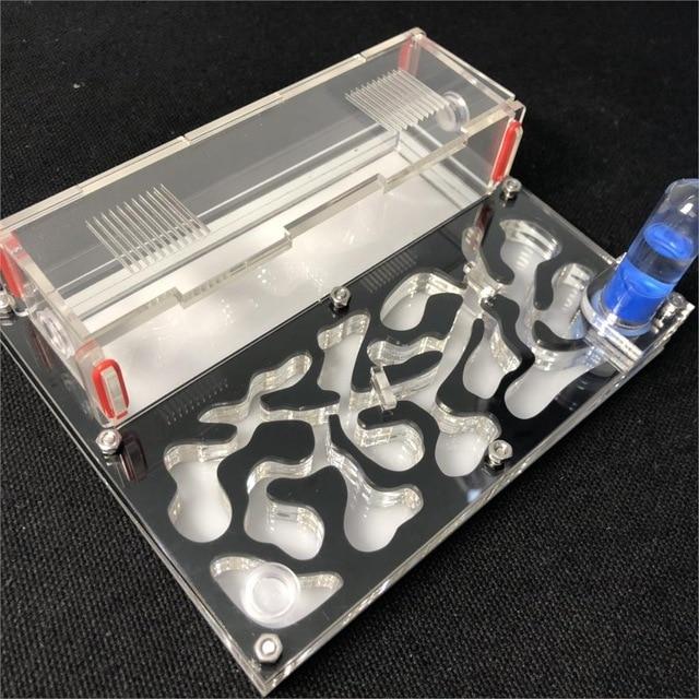 DIY Ant Farm Kit Ant Farms Best Toy Store Black