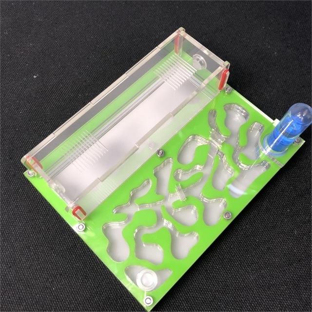 DIY Ant Farm Kit Ant Farms Best Toy Store Green