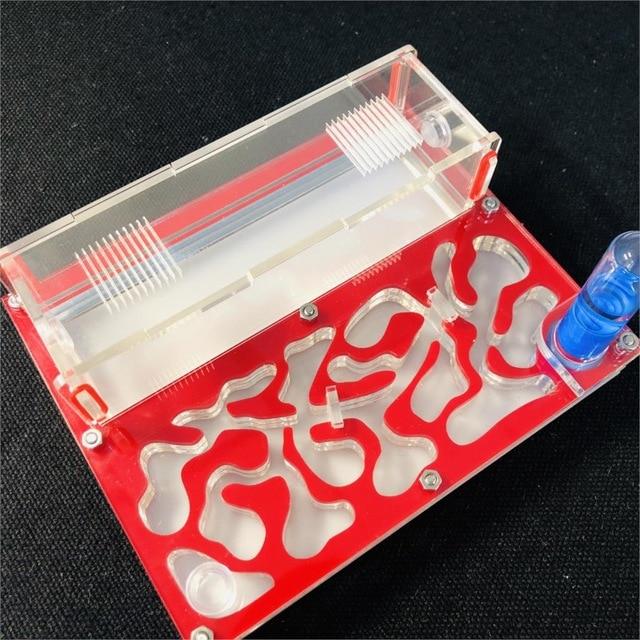 DIY Ant Farm Kit Ant Farms Best Toy Store Red