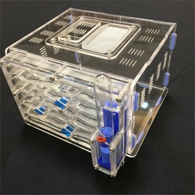DIY Box Ant Farm Kit Ant Farms Best Toy Store Clear