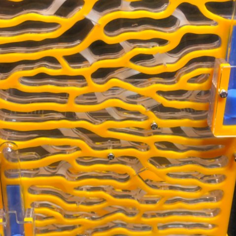 DIY Large Ant Farm Kit Ant Farms Best Toy Store