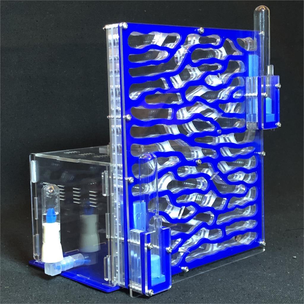 DIY Large Ant Farm Kit Ant Farms Best Toy Store BLUE