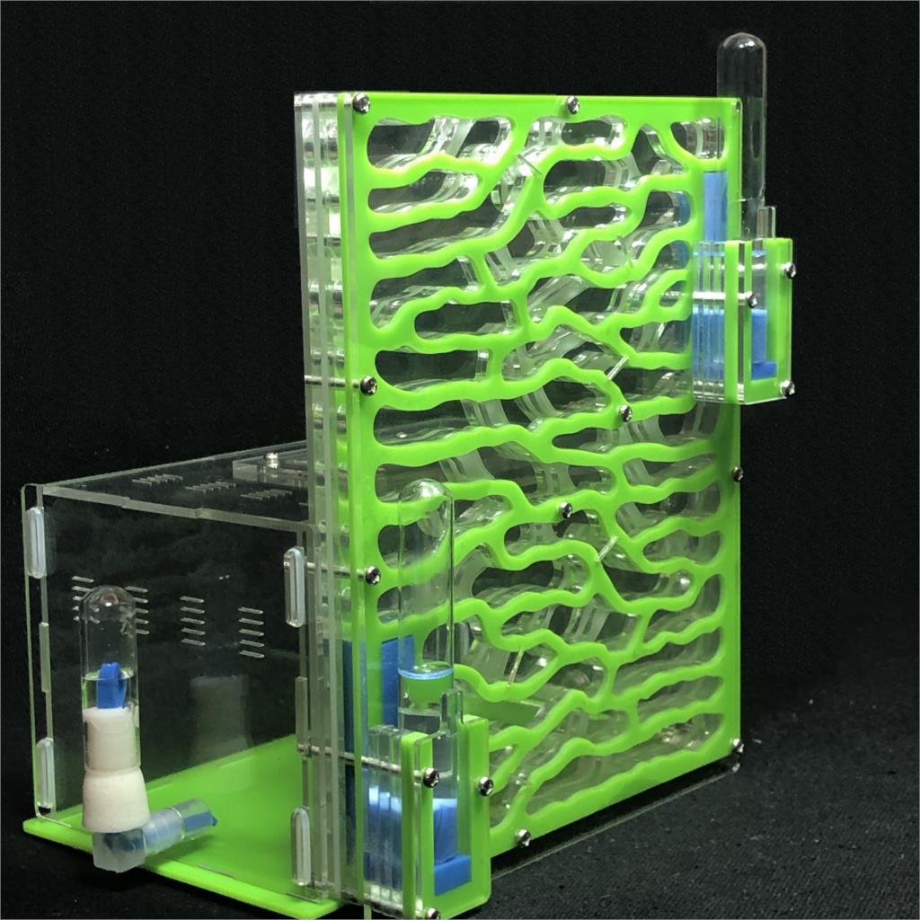 DIY Large Ant Farm Kit Ant Farms Best Toy Store GREEN 