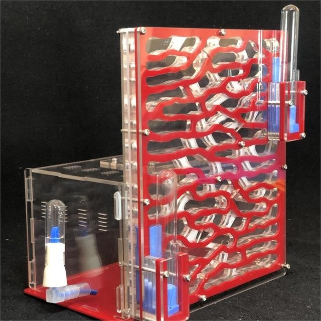 DIY Large Ant Farm Kit Ant Farms Best Toy Store RED