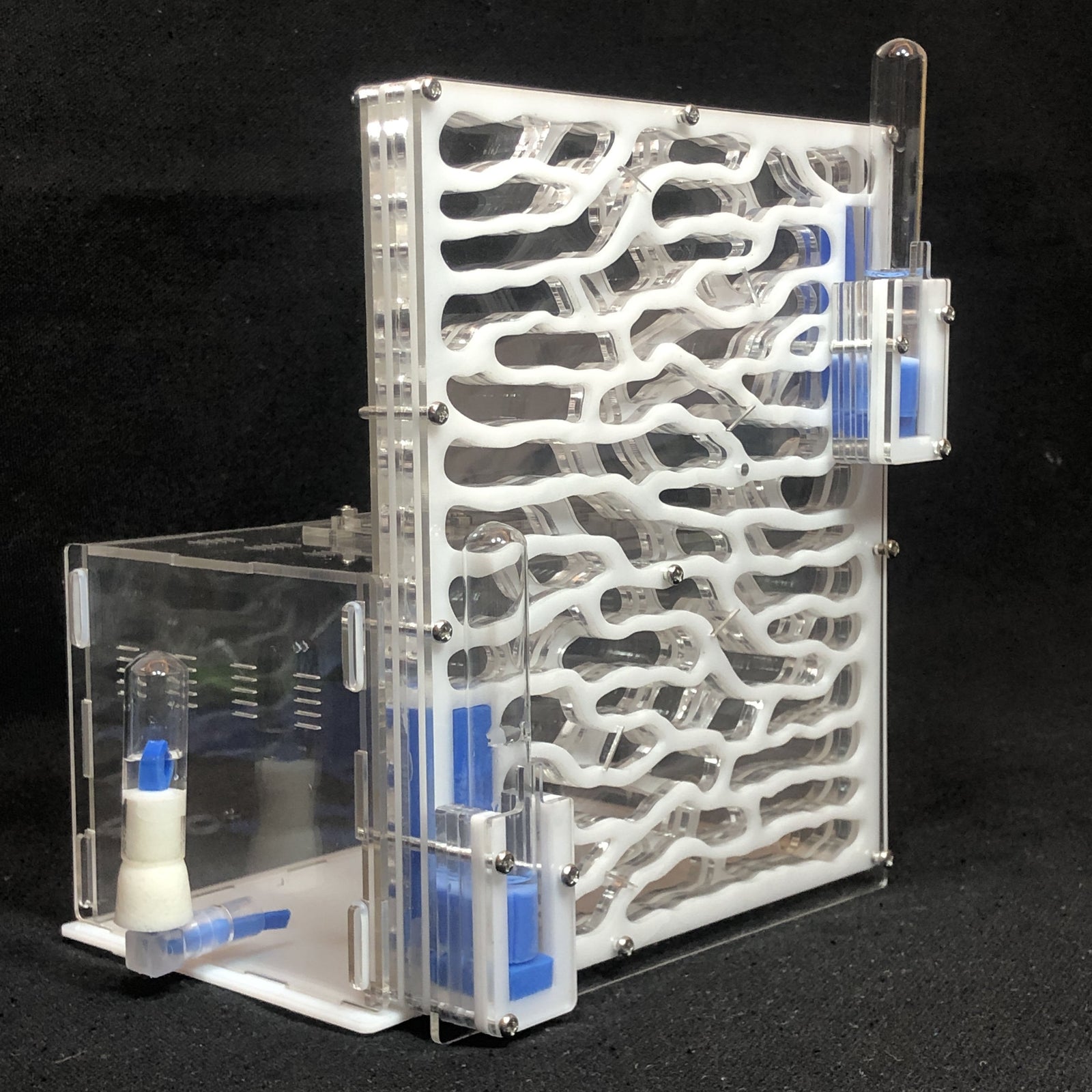 DIY Large Ant Farm Kit Ant Farms Best Toy Store WHITE