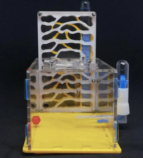 DIY Tall Ant Farm Kit Ant Farms Best Toy Store