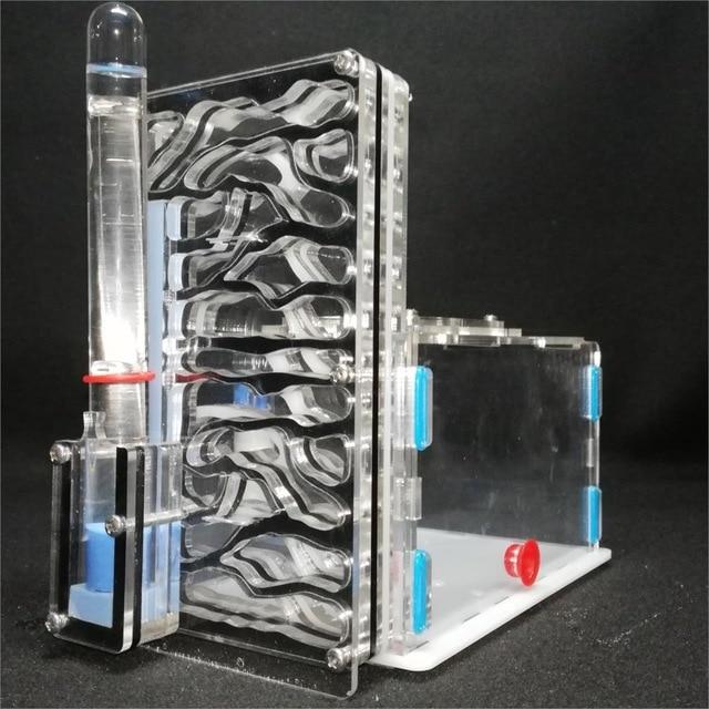DIY Tall Ant Farm Kit Ant Farms Best Toy Store Black