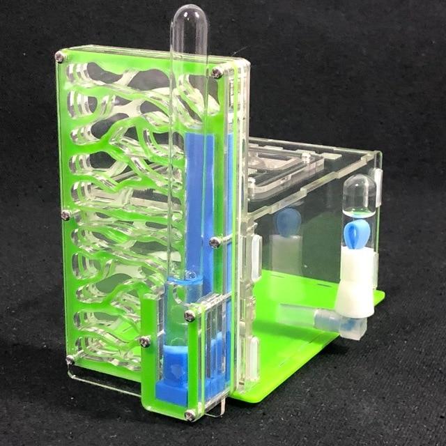 DIY Tall Ant Farm Kit Ant Farms Best Toy Store Green