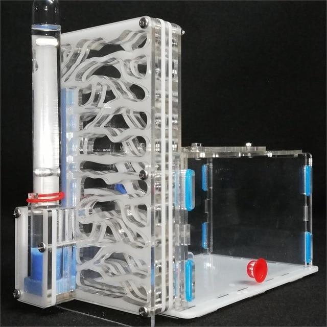 DIY Tall Ant Farm Kit Ant Farms Best Toy Store White
