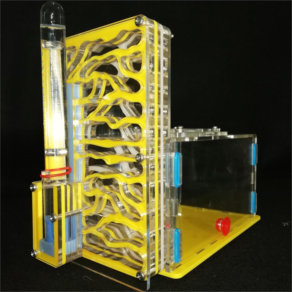 DIY Tall Ant Farm Kit Ant Farms Best Toy Store Yellow