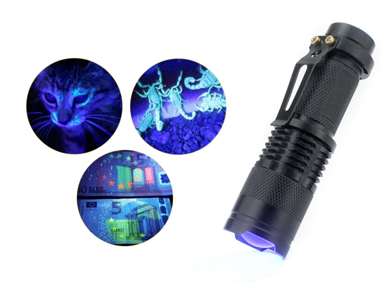 LED UltraViolet Torch Torches & Headlamps Best Toy Store 