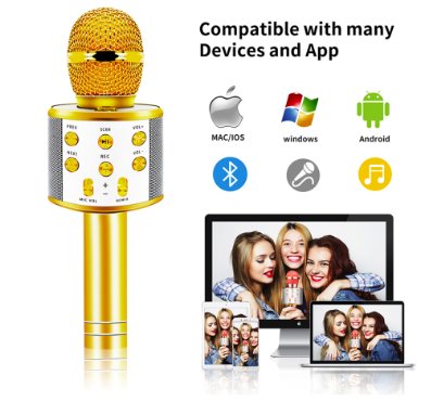 Wireless Karaoke Bluetooth Microphone Speaker Karaoke Systems Best Toy Store