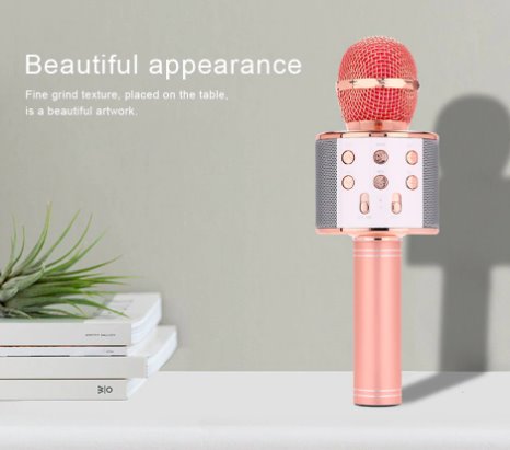 Wireless Karaoke Bluetooth Microphone Speaker Karaoke Systems Best Toy Store
