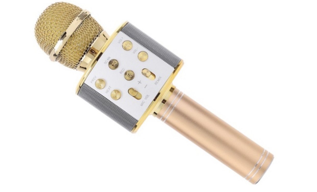 Wireless Karaoke Bluetooth Microphone Speaker Karaoke Systems Best Toy Store