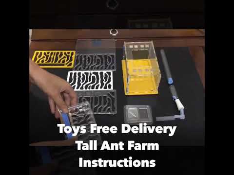 DIY Tall Ant Farm Kit