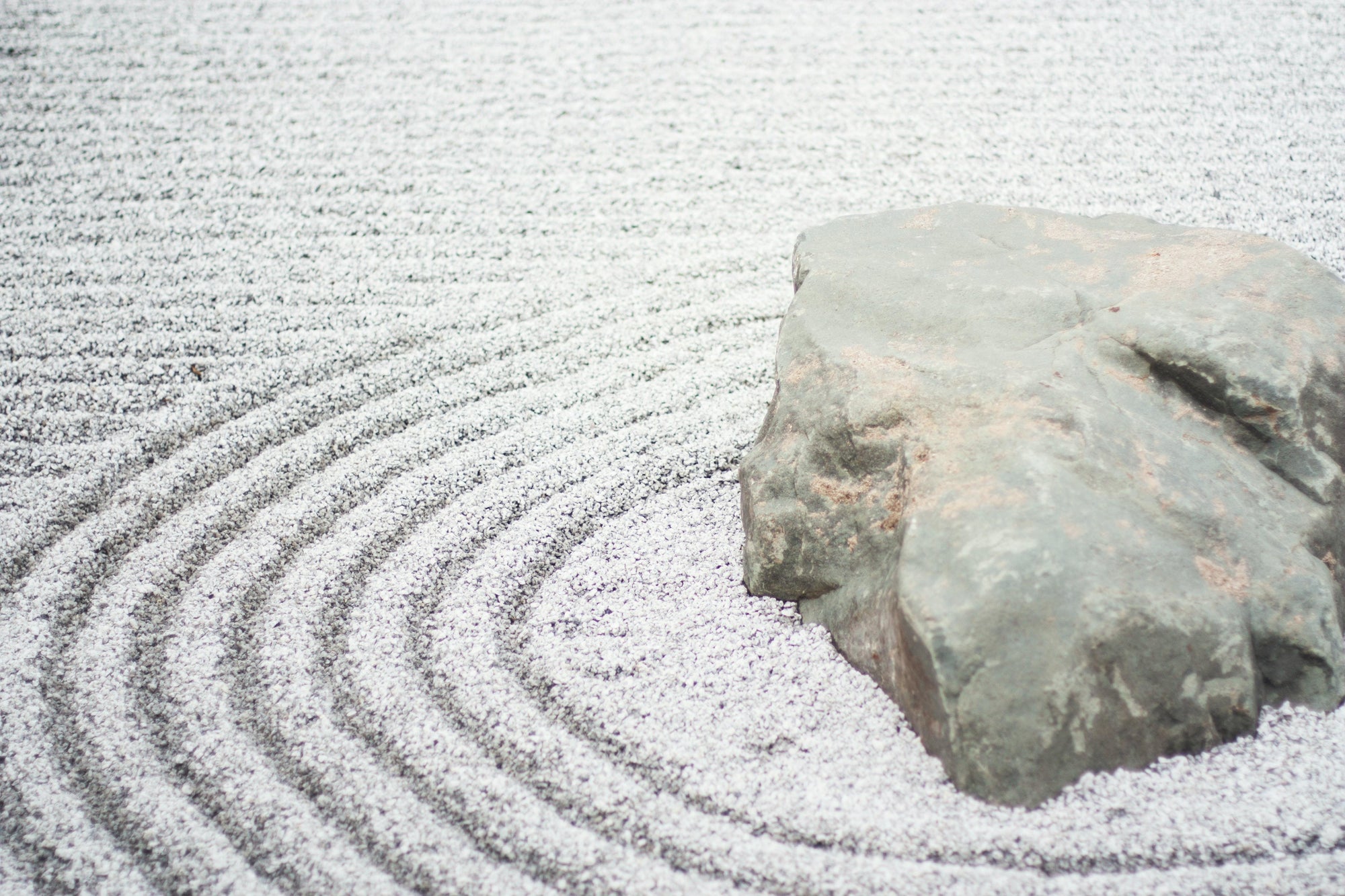 How To Find Your Zen with a Zen Desktop Garden