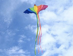 1.8m Colourful Bird Single Line Kite Kites Best Toy Store 