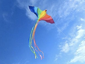1.8m Colourful Bird Single Line Kite Kites Best Toy Store 