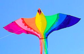 1.8m Colourful Bird Single Line Kite Kites Best Toy Store 