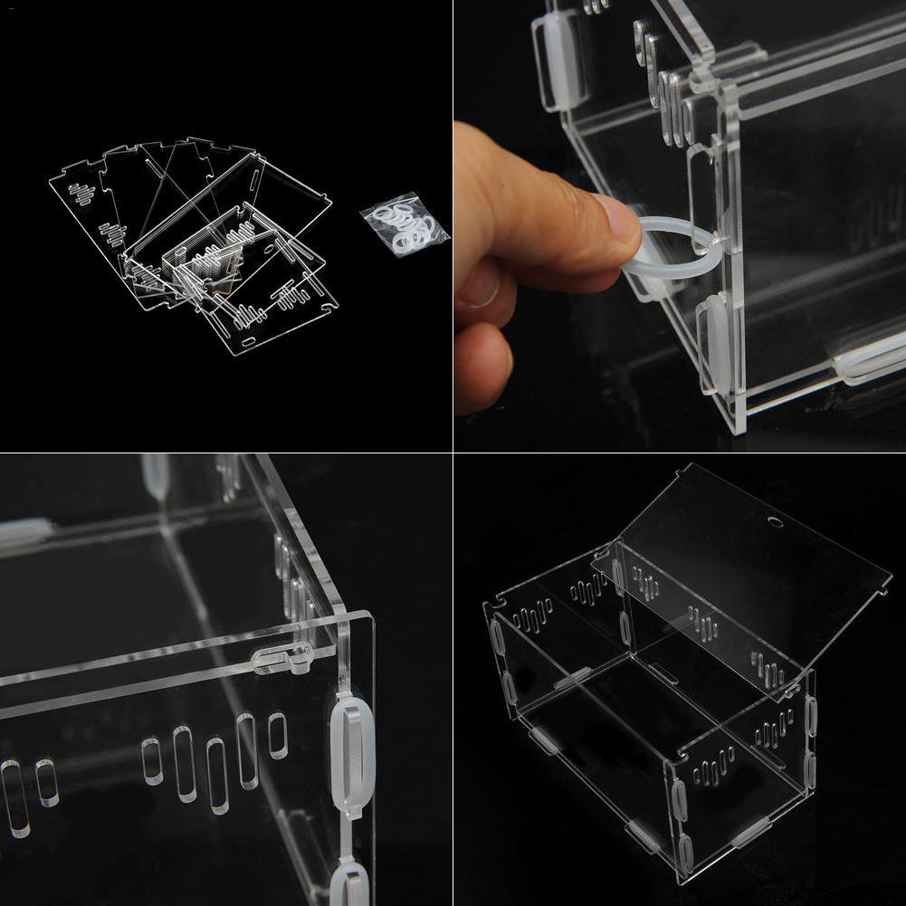 Acrylic Reptile and Insect Tank Reptile &amp; Amphibian Habitats Best Toy Store 