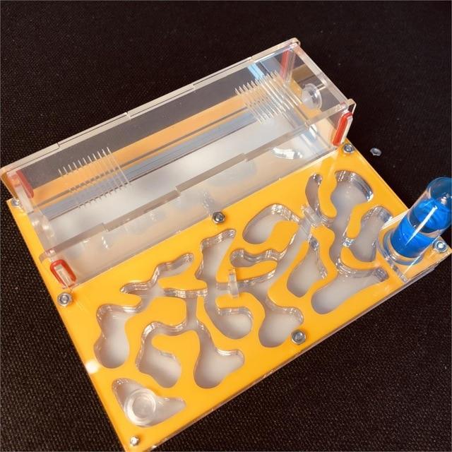 DIY Ant Farm Kit Ant Farms Best Toy Store Yellow 