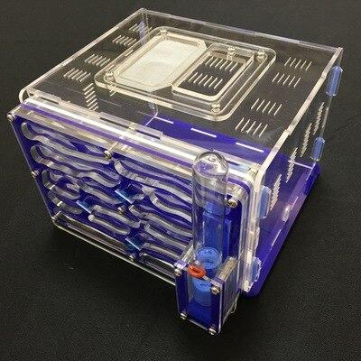 DIY Box Ant Farm Kit Ant Farms Best Toy Store Blue 