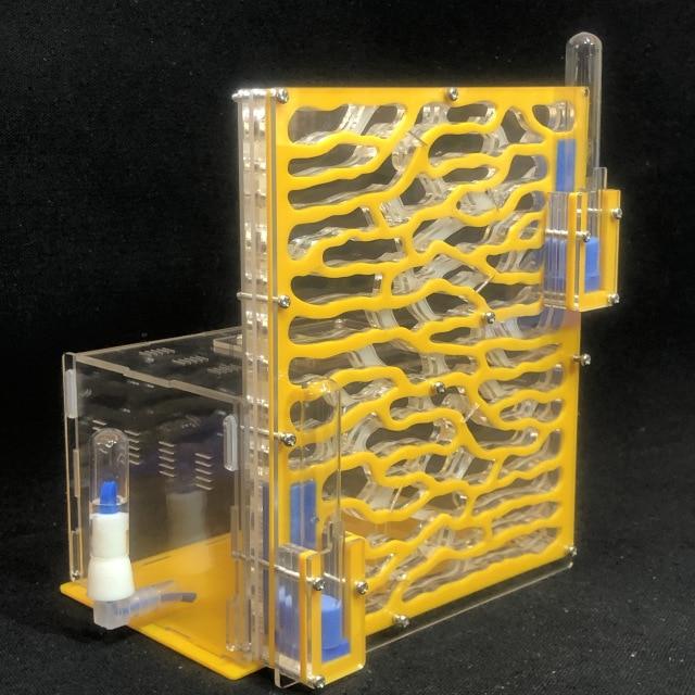 DIY Large Ant Farm Kit Ant Farms Best Toy Store YELLOW 