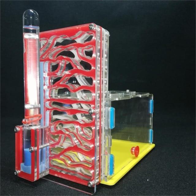 DIY Tall Ant Farm Kit Ant Farms Best Toy Store Red 