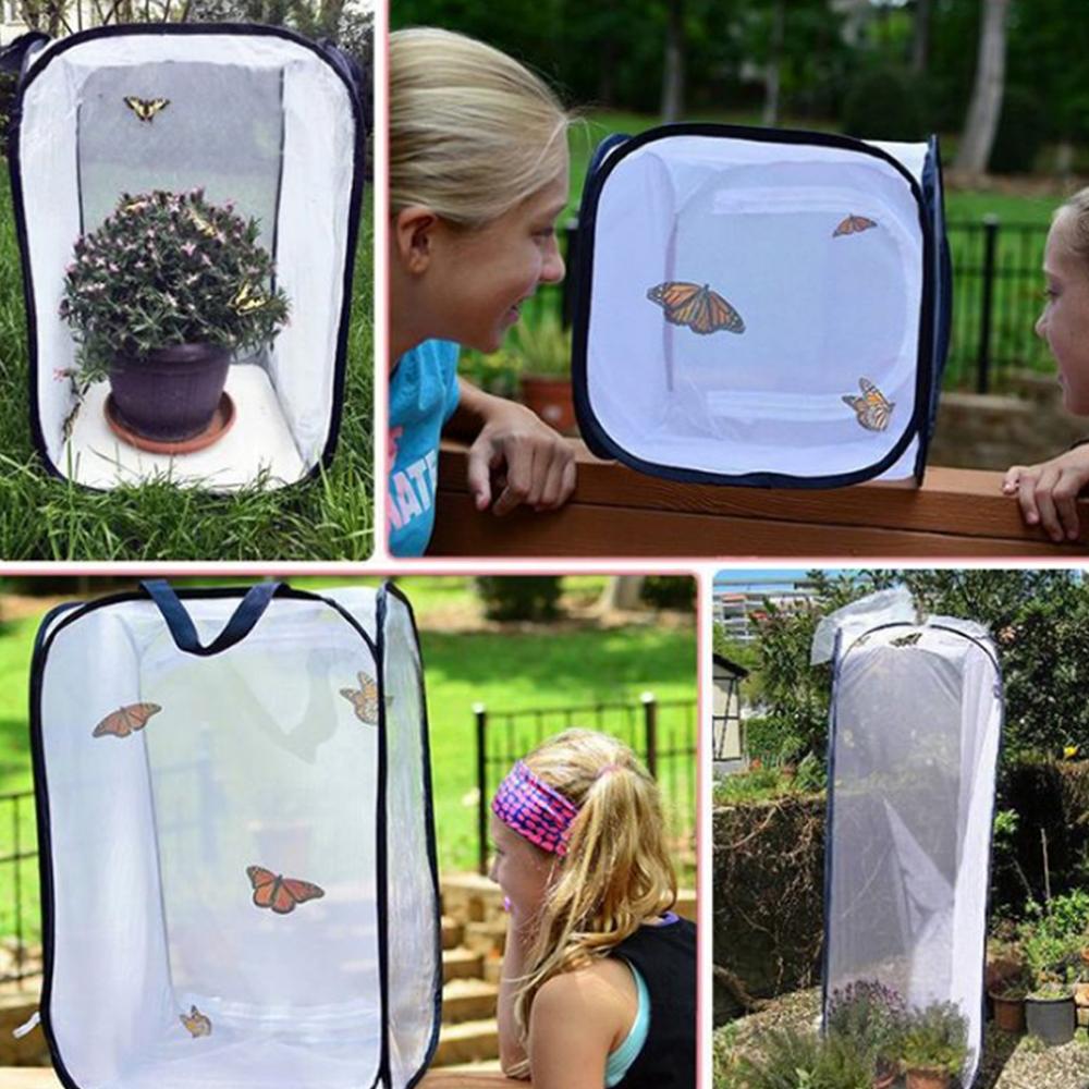 Pop-Up Mesh Insect Enclosure - Best Toy Store!