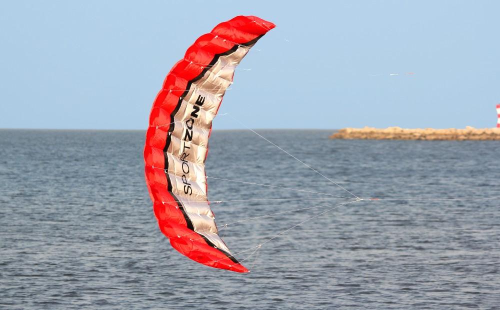 Quality 2.5m Dual Line Parafoil Kite 4 Colours! Kites Best Toy Store Red 